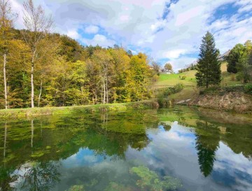 Bajerja na Javorski energijski poti | Jezera Slovenije | Moja jezera