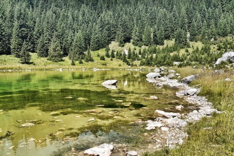 Dupeljsko jezero 6