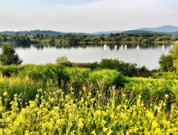 Vsa slovenska jezera za kopanje | Moja jezera | Manca Korelc