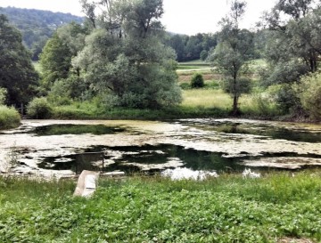 Jezero na Jelševniku | Moja jezera | Vsa slovenska jezra | Manca Korelc