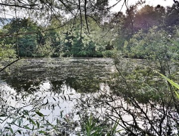 Ribniki pri Ugarju | Vsa slovenska jezera | Moja jezera | Manca Korelc