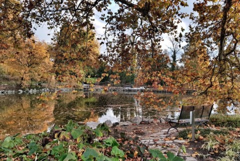 Jezera arboretum volcji potok 24