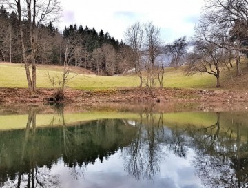 Jezero v Lučah | Vsa slovenska jezera | Moja jezera | Manca Korelc