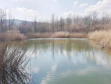 Ribnik v industrijski coni | Vsa slovenska jezera | Moja jezera | Manca Korelc
