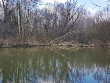 Ribnik pri Goriških opekarnah | Vsa slovenska jezera | Moja jezera | Manca Korelc