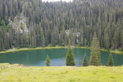 Jezero koca pri planini pri jezeru 4