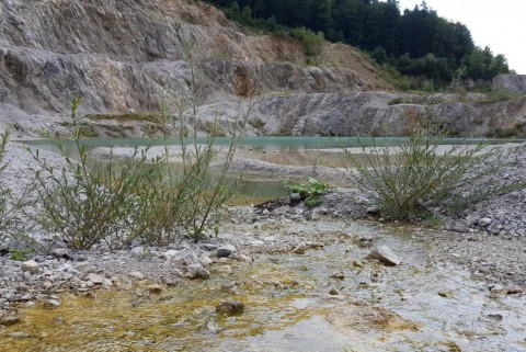 Jezero kamnolom reber pri skofljici 9
