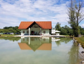 Ribnik Prigorica | Vsa slovenska jezera | Moja jezera | Manca Korelc