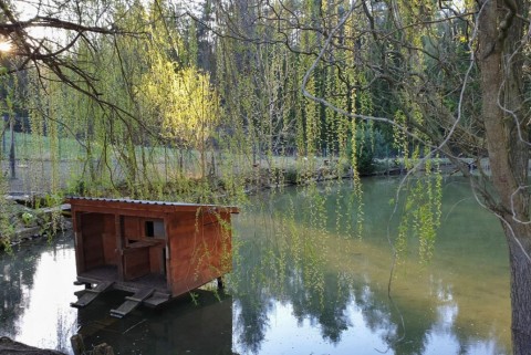 Ribnik ranc pri vancu moja jezera jezera slovenije manca korelc 3