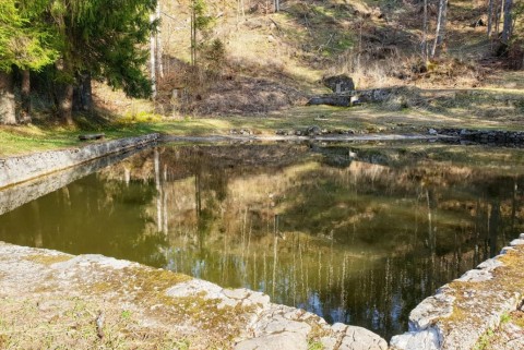 Ribnik pr tal loki potok moja jezera manca korelc 1