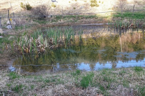 Lazec loki potok moja jezera manca korelc 3