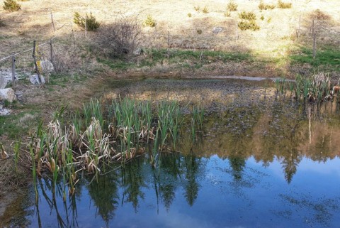 Lazec loki potok moja jezera manca korelc 4