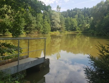 Ribnik v Glinskem | Vsa slovenska jezera | Moja jezera | Manca Korelc