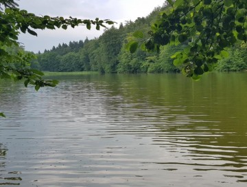 Jezero v Razborju | Vsa slovenska jezera | Moja jezera | Manca Korelc
