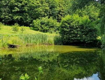 Ribniki v Stanu | Vsa slovenska jezera | Moja jezera | Manca Korelc