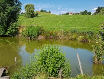 Ribnik v Hošnici | Vsa slovenska jezera | Moja jezera | Manca Korelc