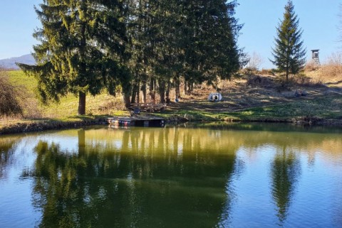 Spodnji log jezero moja jezera manca korelc 2