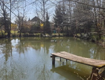 Boštarjev ribnik | Moja jezera | Jezera Slovenije | Manca Korelc