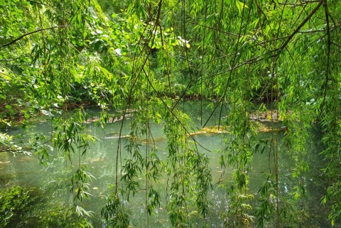 Borovnica jezero jezera slovenije moja jezera manca korelc 4