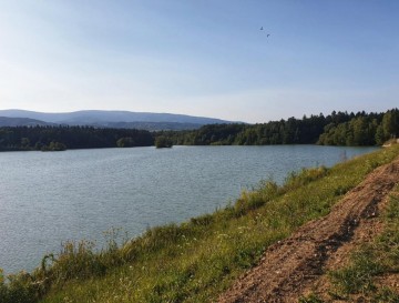 Škorčevi ribniki | Slovenska jezera | Moja jezera