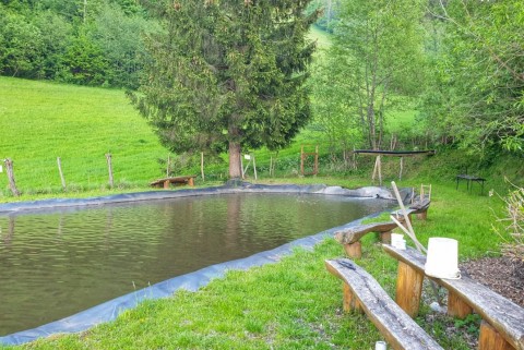 Dravograd jezera slovenije slovenska jezera moja jezera manca korelc 3