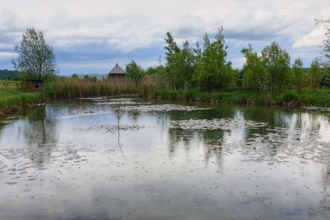 Vodomcev gaj visit grosuplje jezera slovenije slovenska jezera moja jezera manca korelc 9