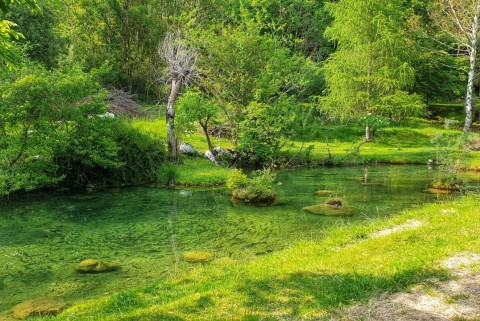 Posocje furs jezera slovenije slovenska jezera moja jezera manca korelc 8