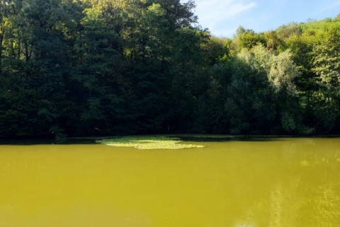 Kozjansko ribniki mackovci jezera slovenija moja jezera manca korelc 12
