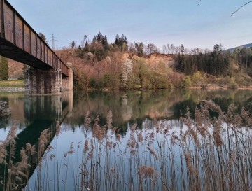 Dravograjsko ali Črneško jezero | Jezera Slovenije | Moja jezera