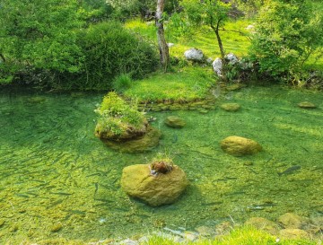 Trije ribniki | Jezera Slovenije | Moja jezera