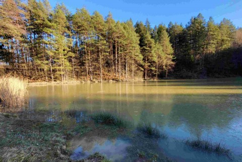 Ribnik liboje jezera slovenije slovenska jezera moja jezera manca korelc 3