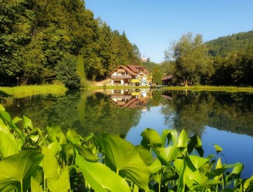 Jezero v Pilštanju | Jezera Slovenije | Moja jezera