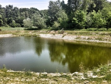 Ribnik pri Ptujskem jezeru | Moja jezera | Manca Korelc