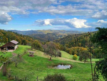 Mlaka v Javorjah | Jezera Slovenije | Moja jezera