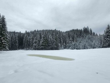 Mlaki na Belski planini | Jezera Slovenije | Moja jezera