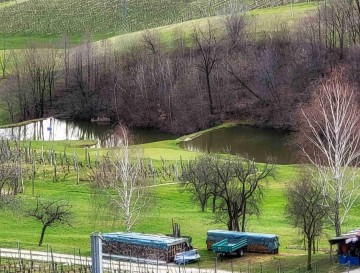 Ribnika v Škalcah | Jezera Slovenije | Moja jezera