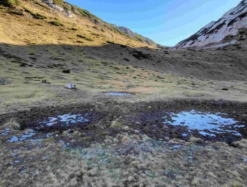 Mlake na planini Korošica | Jezera Slovenije | Moja jezera