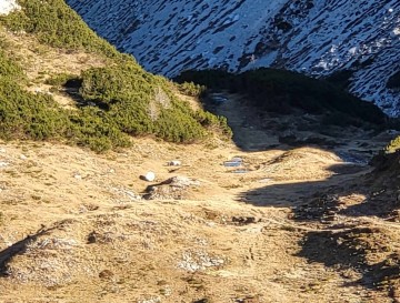 Mlake pri planini Korošica | Jezera Slovenije | Moja jezera