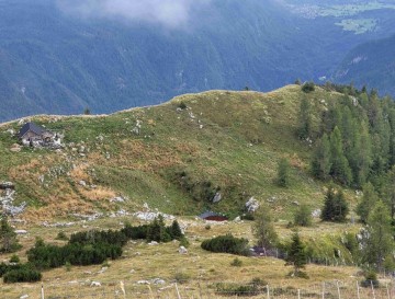 Kal na travniku | Jezera Slovenije | Moja jezera