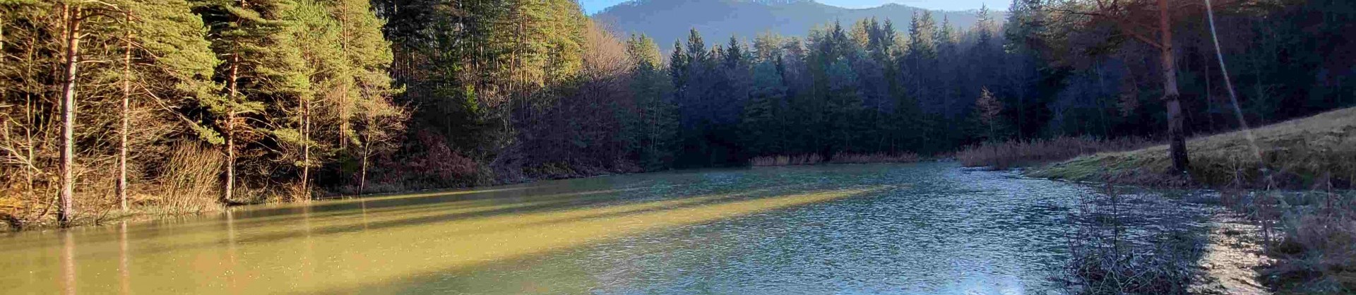 Ribnik liboje jezera slovenije slovenska jezera moja jezera manca korelc 1 sl