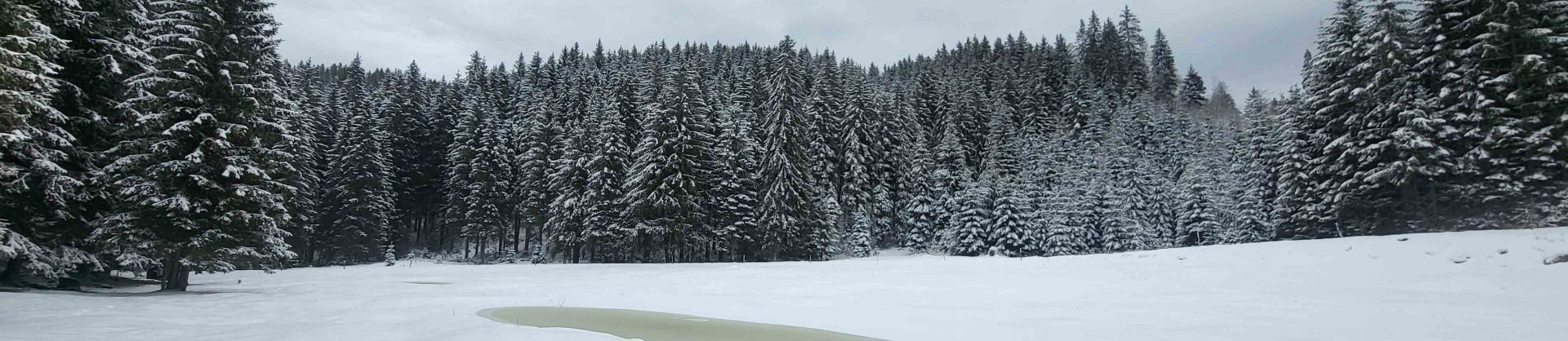 Belska planina pokljuka jezera slovenije slovenska jezera moja jezera manca korelc 2 sl