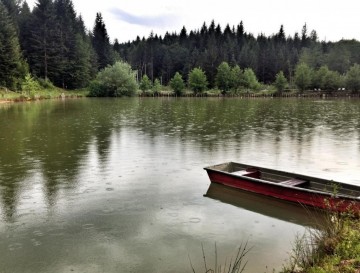 Ribnik v Kanižarici | Moja jezera | Vsa slovenska jezera | Manca Korelc