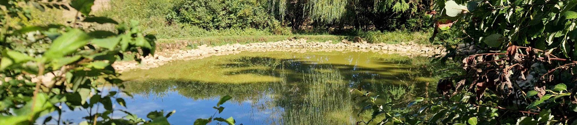 Ribnik koca pri koritu videm dopbrepolje slovenska jezera jezera slovenije moja jezera manca korelc 6 sl