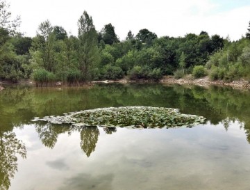 Mali Nerajec | Moja jezera | Vsa slovenska jezra | Manca Korelc