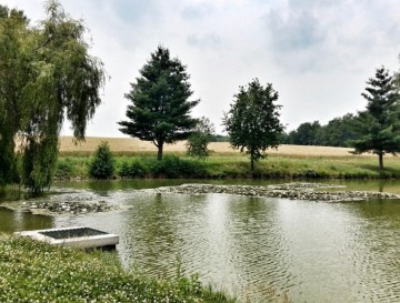Ribnika Prilozje | Moja jezera | Vsa slovenska jezra | Manca Korelc
