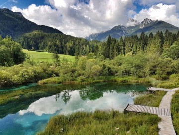 Zelenci | Vsa slovenska jezera | Moja jezera | Manca Korelc