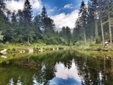 Jezero Kreda | Vsa slovenska jezera | Moja jezera | Manca Korelc