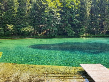Jezero javorniški Rovt ali Javorniško jezero | Vsa slovenska jezera | Moja jezera | Manca Korelc