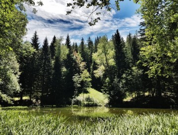 Javorniškorovtarska jezera | Vsa slovenska jezera | Moja jezera | Manca Korelc