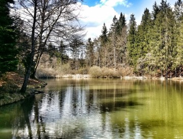 Ribnika Race | Moja jezera | Vsa slovenska jezera | Manca Korelc